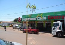 Departamento de Meio Ambiente já realizou o plantio mais de 30 arvores em Mundo Novo