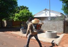 Endemias continua combatendo o Aedes Aegypti, mas lembra que a principal luta contra a dengue é cada um cuidar do seu quintal e/ou terreno