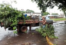 Chuva com fortes rajadas de vento em Mundo Novo assustou população, mas Governo agiu rápido