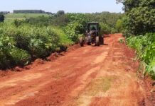 Estradas e Rodagens de Mundo Novo deve concluir o ano com manutenção das vias em dia
