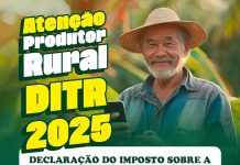 Declaração do Imposto de Renda sobre a propriedade territorial rural vai até dia 20 de setembro