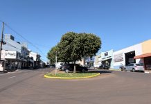 Avenida Brasil recebe revitalização da sinalização viária