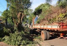Meio Ambiente dá continuidade à retirada de galhadas no Bairro Copagril