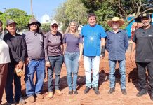 Plantio de árvores reforça arborização no Parquinho Infantil Lavinia Veiga